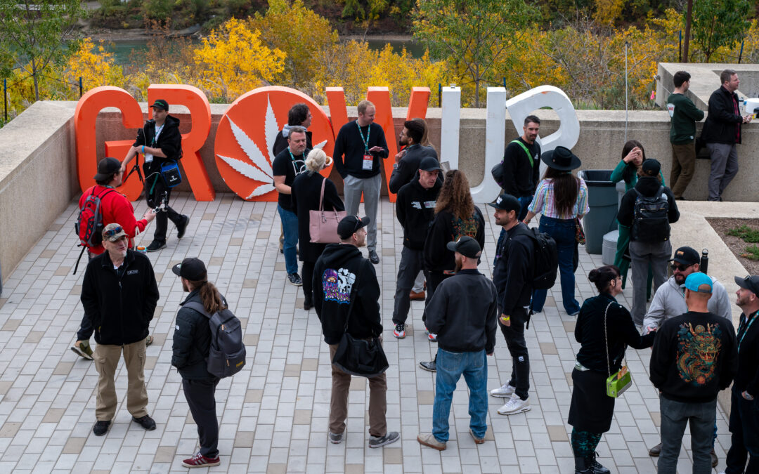 Calgary Voted Yes To On-Site Cannabis Sales at Events