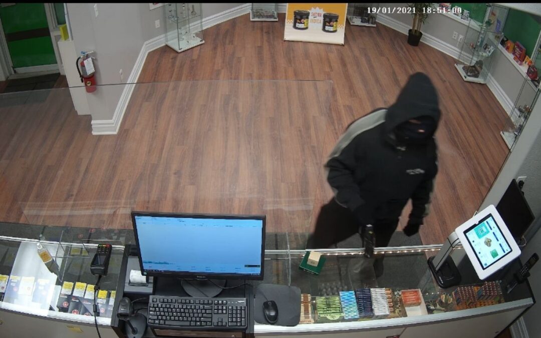 Calgary Police investigating string of cannabis store robberies