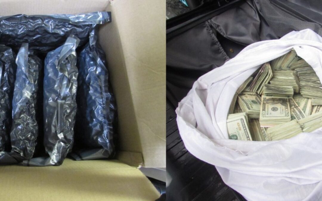 Lost American arrested at Canadian border with 181 kg of cannabis and over half a million in cash