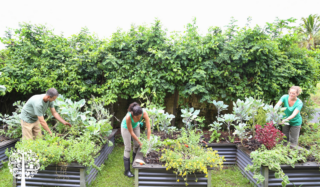 Community Gardens Are A Safe And Happy Space For Everyone