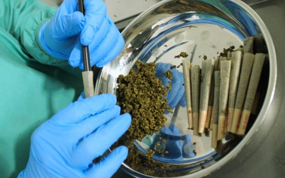 CanadaBis Capital reports decline in net income