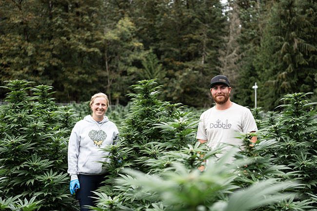 Indigenous Roots: Honouring quiet representation in the cannabis market