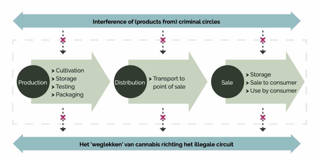 First regulated cannabis makes its way to Dutch coffeeshops in new pilot project