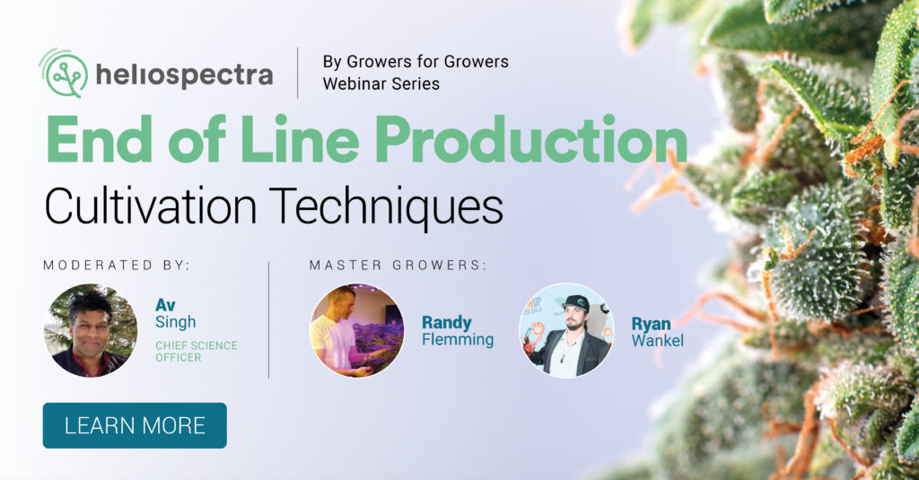 Webinar Series: End of Line Production Cultivation Techniques