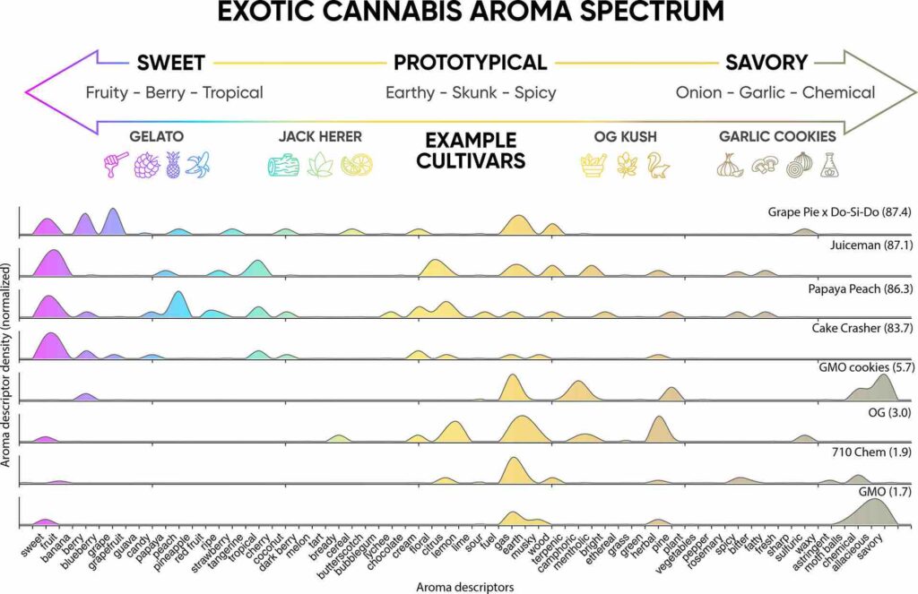 New research suggests that the effect of terpenes on cannabis aroma is overhyped