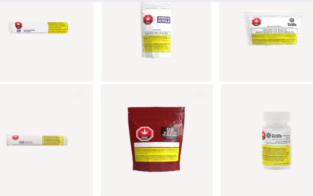 The Good Shroom reports decreased revenue, increased losses in Q1 2025