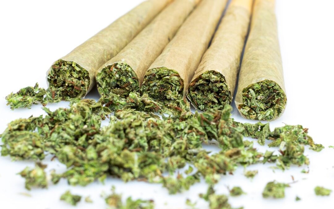 The Good Weed Board, part eight