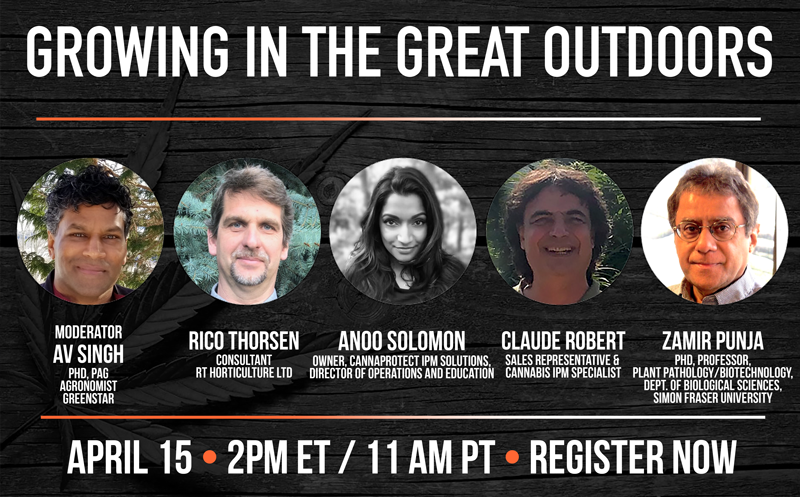 Vol. 6: Growing Cannabis in the Great Outdoors