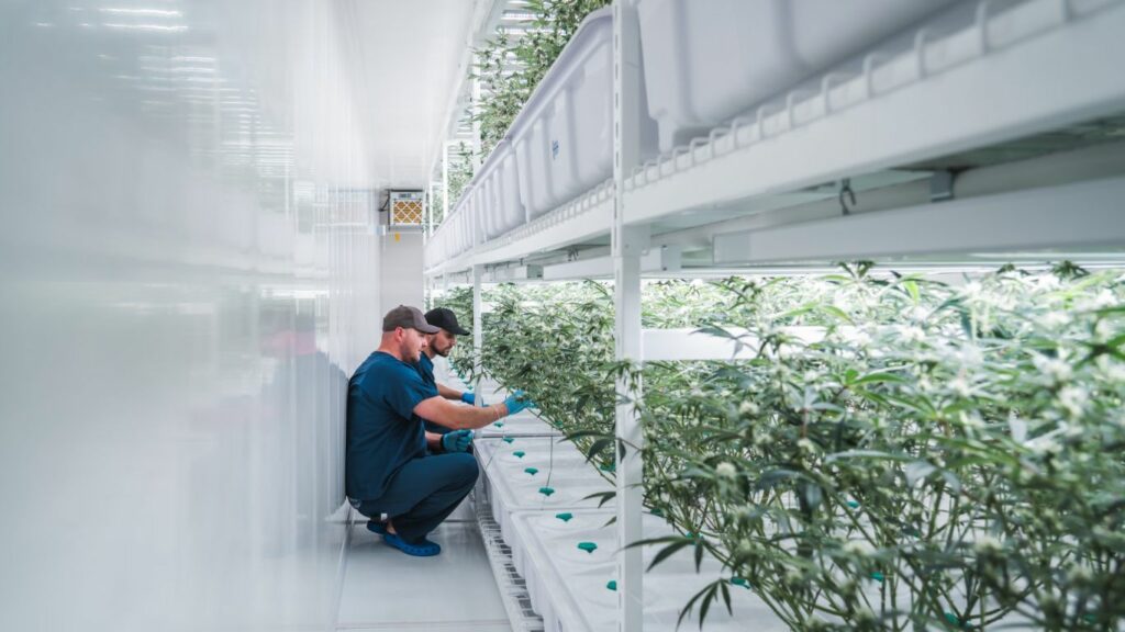 Expanding micro processing can benefit all micros