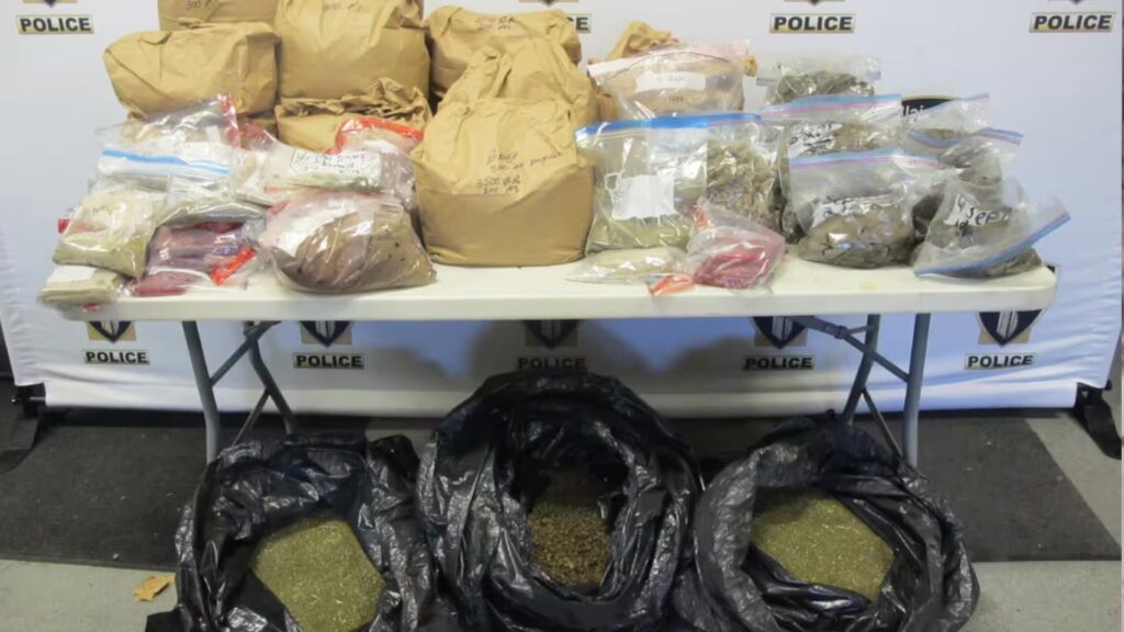 Police in Quebec seize hash, cannabis, kief in record raid