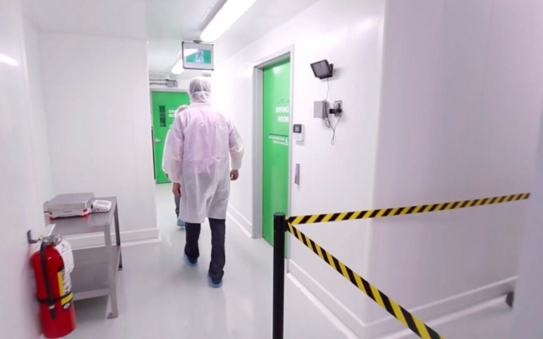 Creditor protection, bankruptcies, and acquisitions in 2024