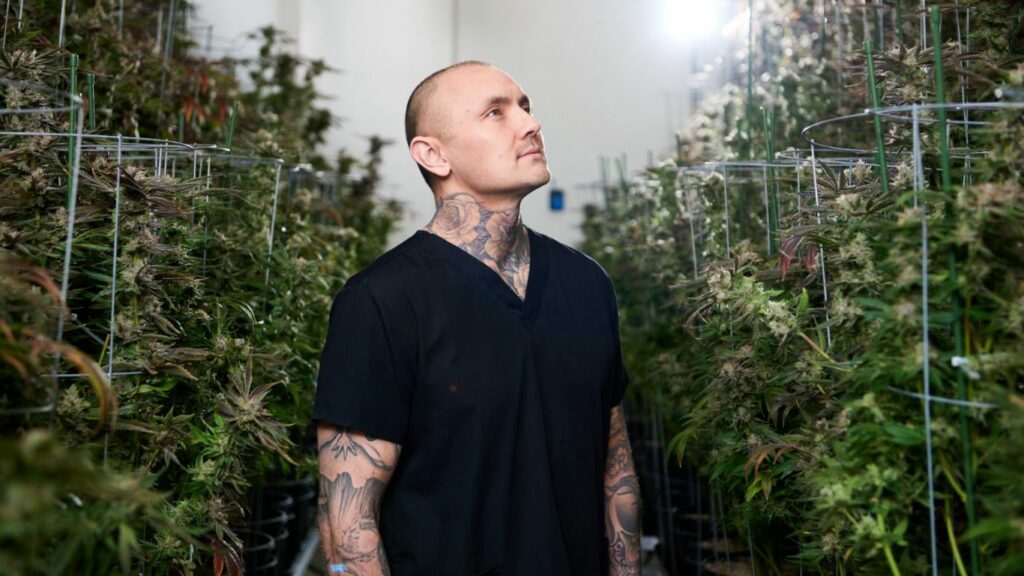 Kush Mountain Craft Cannabis takes the slow road to quality weed
