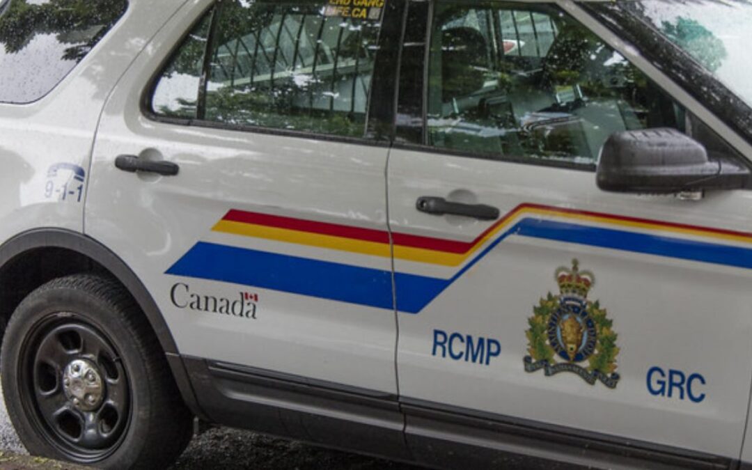 Halifax RCMP execute two search warrants at illegal cannabis storefront