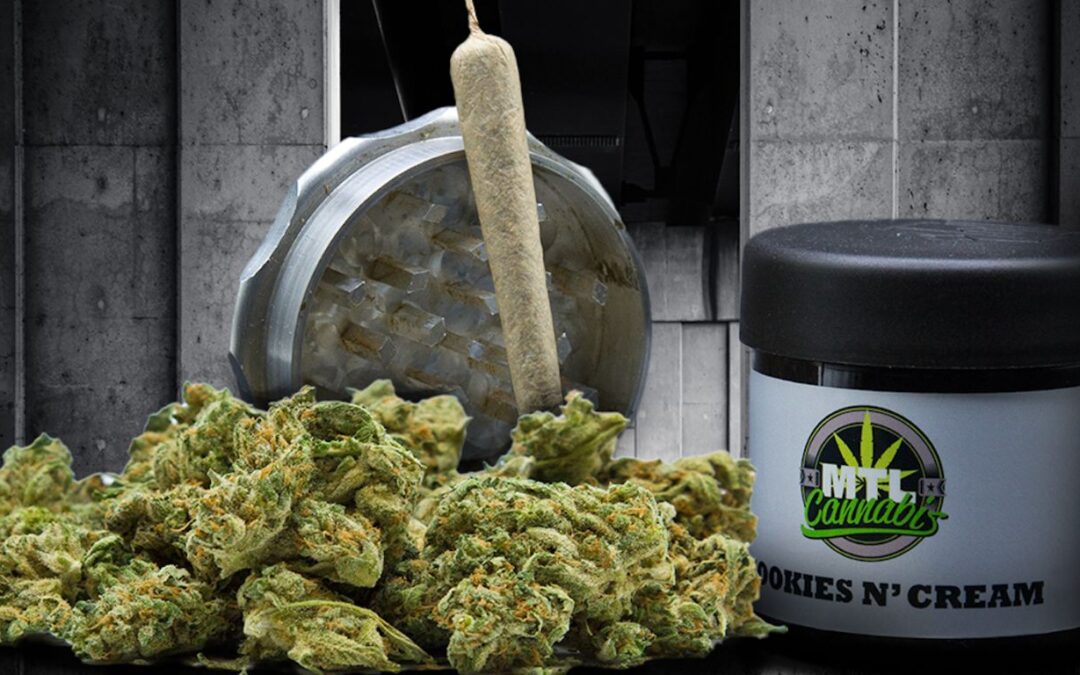 MTL Cannabis reports record Q2 2024 revenue