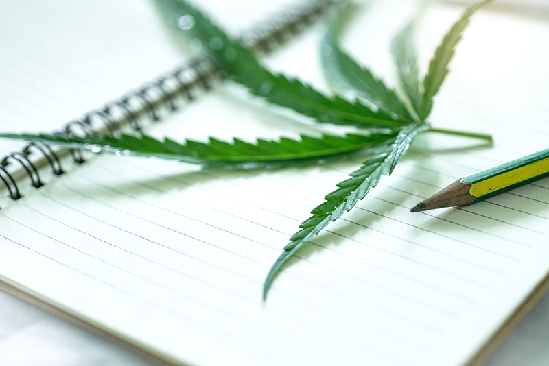 IRS 280E: Cannabis Taxes and Case Law
