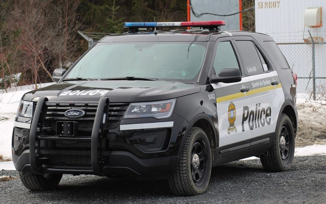 Police in Quebec seize large amount of dried cannabis, plants, in two raids