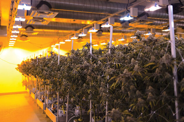 Facility Tours: Calgary LPs shine in the Wild West