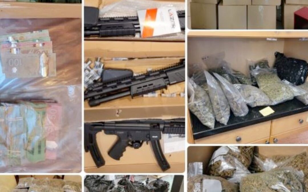 Surrey RCMP dismantle a large illicit cannabis distribution group, seize 700 pounds of illicit cannabis, guns, psilocybin