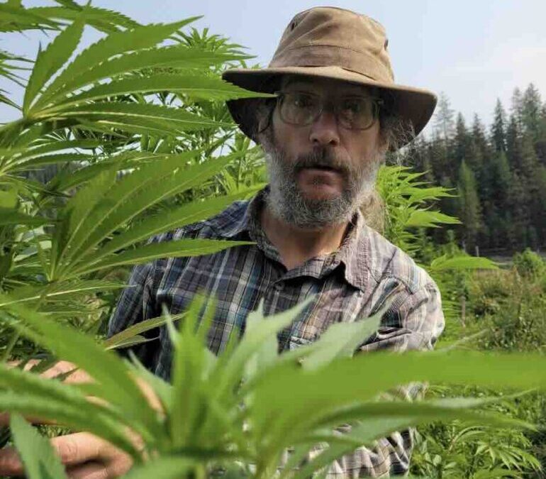 One man’s journey to grow the cheapest cannabis in Canada