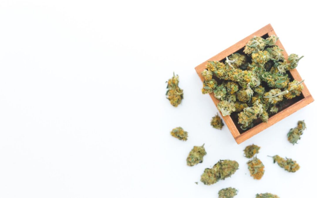 Week in Weed – August 12, 2023