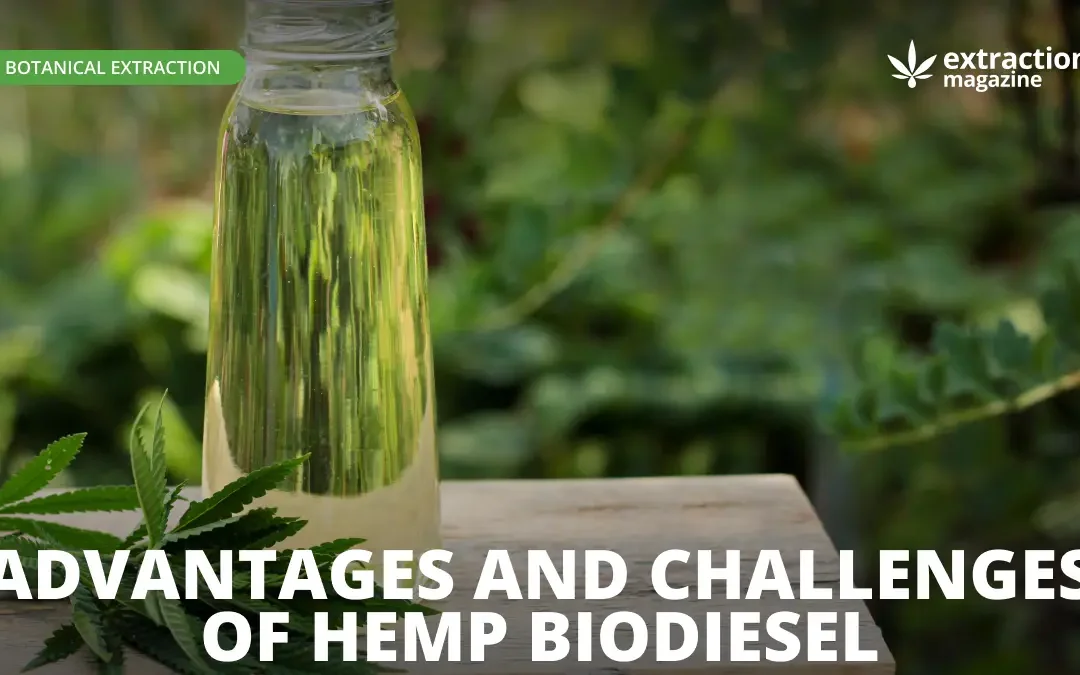 Advantages and Challenges of Hemp Biodiesel