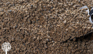 A shovel digs into a mound of bat guano.