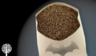 A sachet of bat guano with a batman symbol, on a black background.