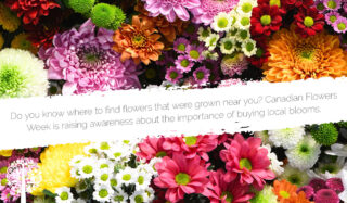 Support Your Local Flower Farm During Canadian Flowers Week And Beyond