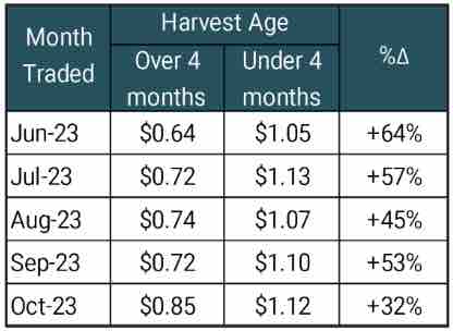 Wholesale cannabis prices appear to be rebounding