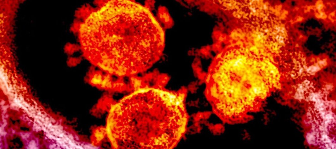 Coronavirus (COVID-19) Information