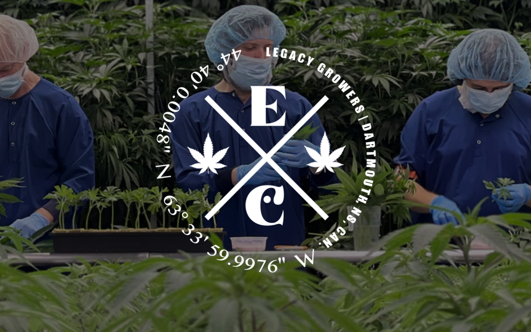 Eastcann’s Innovations: How Collaboration and Hand-Processing Set Them Apart