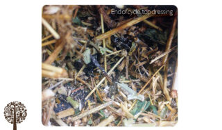 Organic soil with a layer of top dressing.