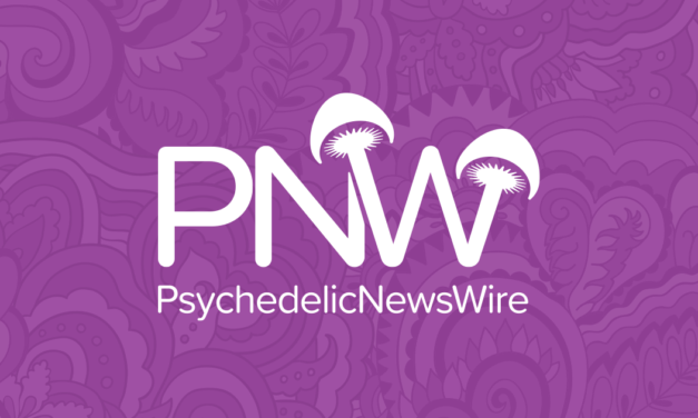 A Recap of the Highlights for the Psychedelics Industry in 2024