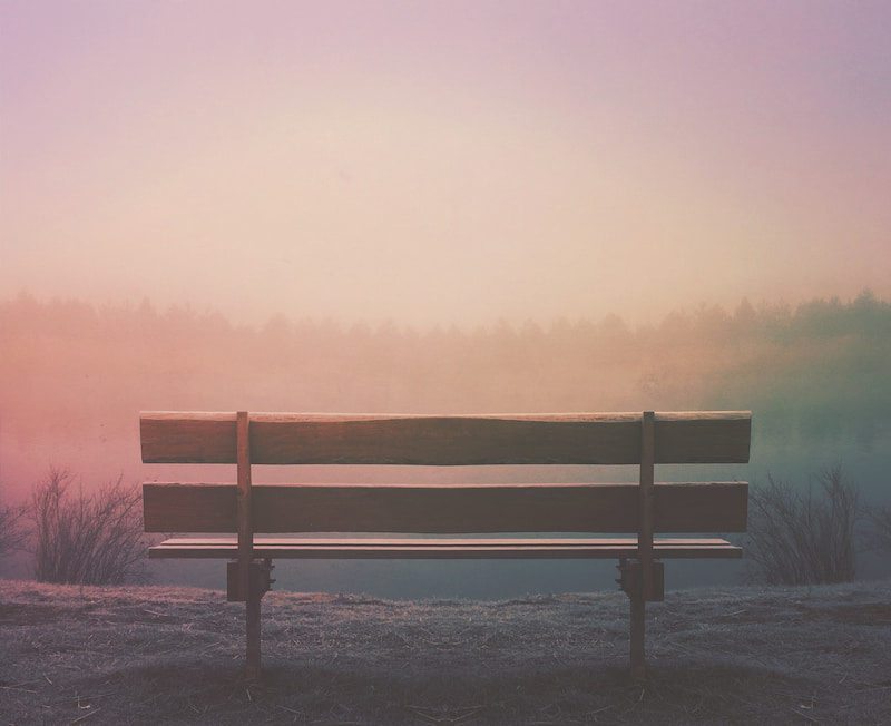 Image of an empty bench overlooking a valley