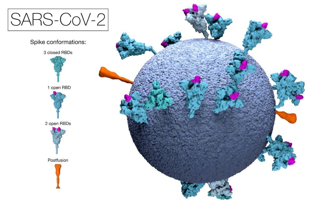 Bio-BOMB, not “vaccine”, not “gene-therapy”