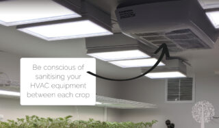 Mold And Filters: The Importance Of Cleaning Your HVAC Equipment