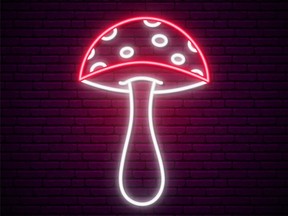 Use of psychedelics to treat PTSD, OCD, depression and chronic pain