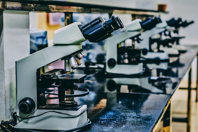 Unleashing the Potential of Cannabis: Cannabis Bioscience International Holdings Reaches a Historic Valuation