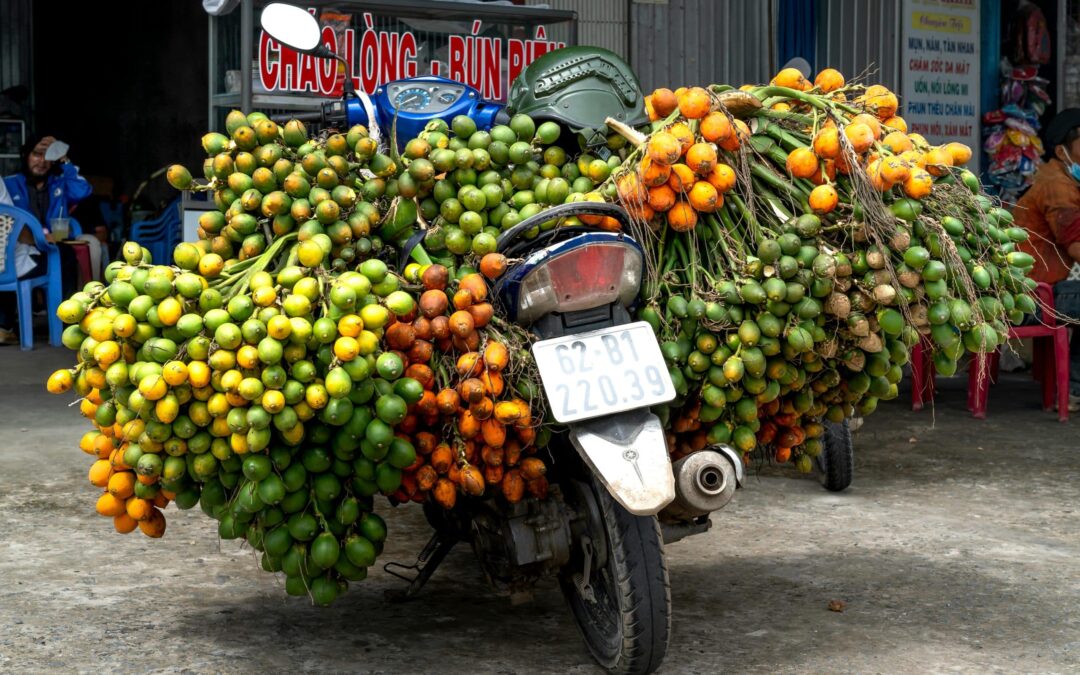 Inside the Betel Nut High: Exploring the Mind-Bending Effects of Areca Catechu
