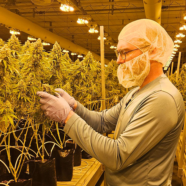 Under the Lights: Q&A with Wade Forrest: Exploring the rigors of EU-GMP certification