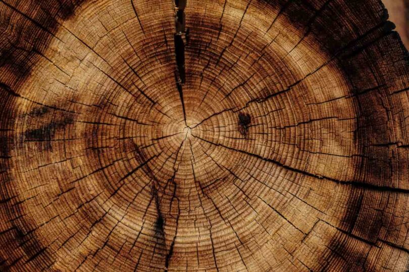 What is Spiritual Maturity & Immaturity? (11 Signs)