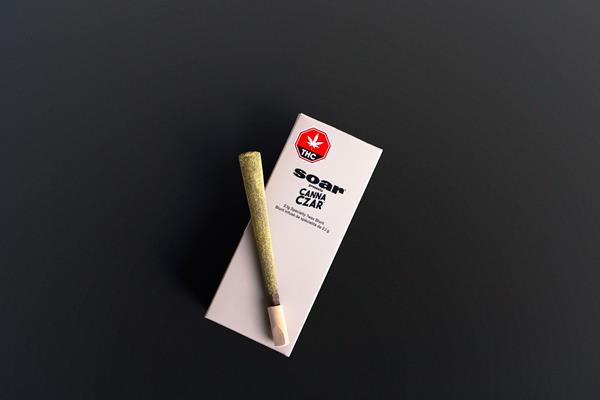 Soar Brings Back the Canna Czar