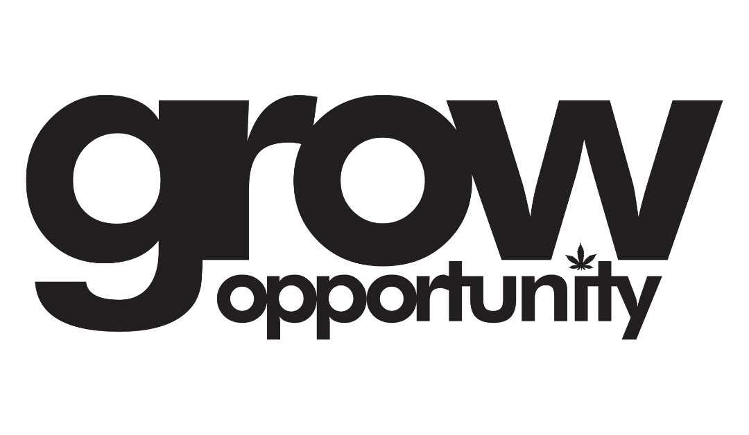 New Year, New Chill: Explore the Latest Cannabis Beverages from Solei, Mollo, and XMG