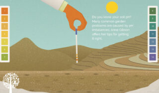 Tips For Balancing Your Soil’s pH
