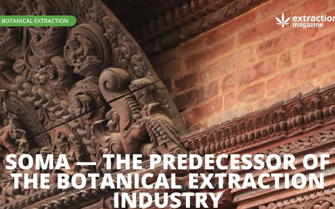 Soma — the Predecessor of the Botanical Extraction Industry