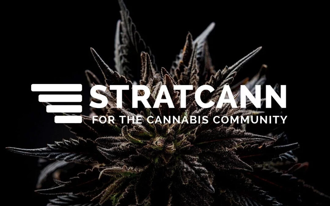 CBSA, RCMP seizes 45 kg of cannabis destined for the Netherlands