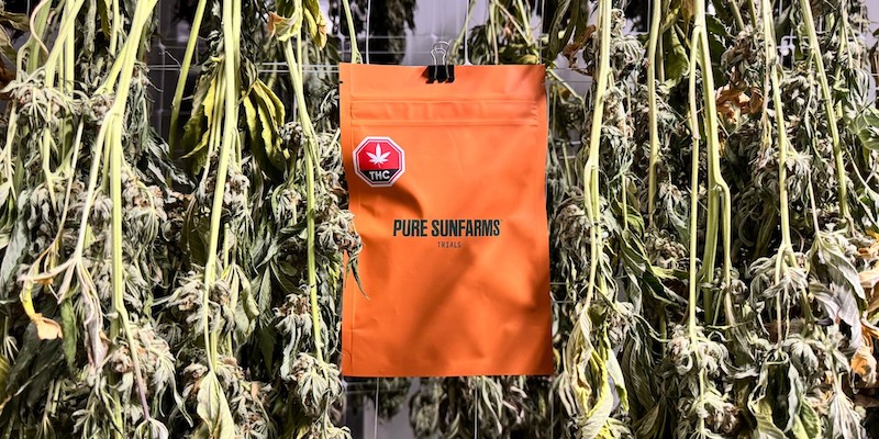 Pure Sunfarms Launches Grower-Led ‘Trials’ Program