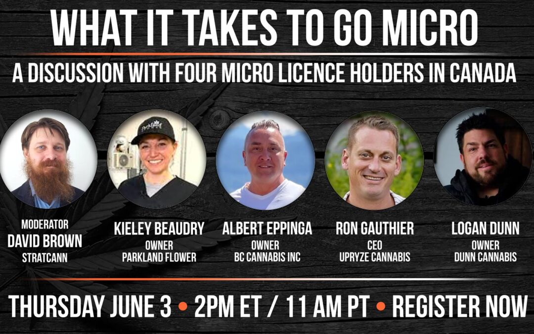 Vol. 7: What it takes to go Micro